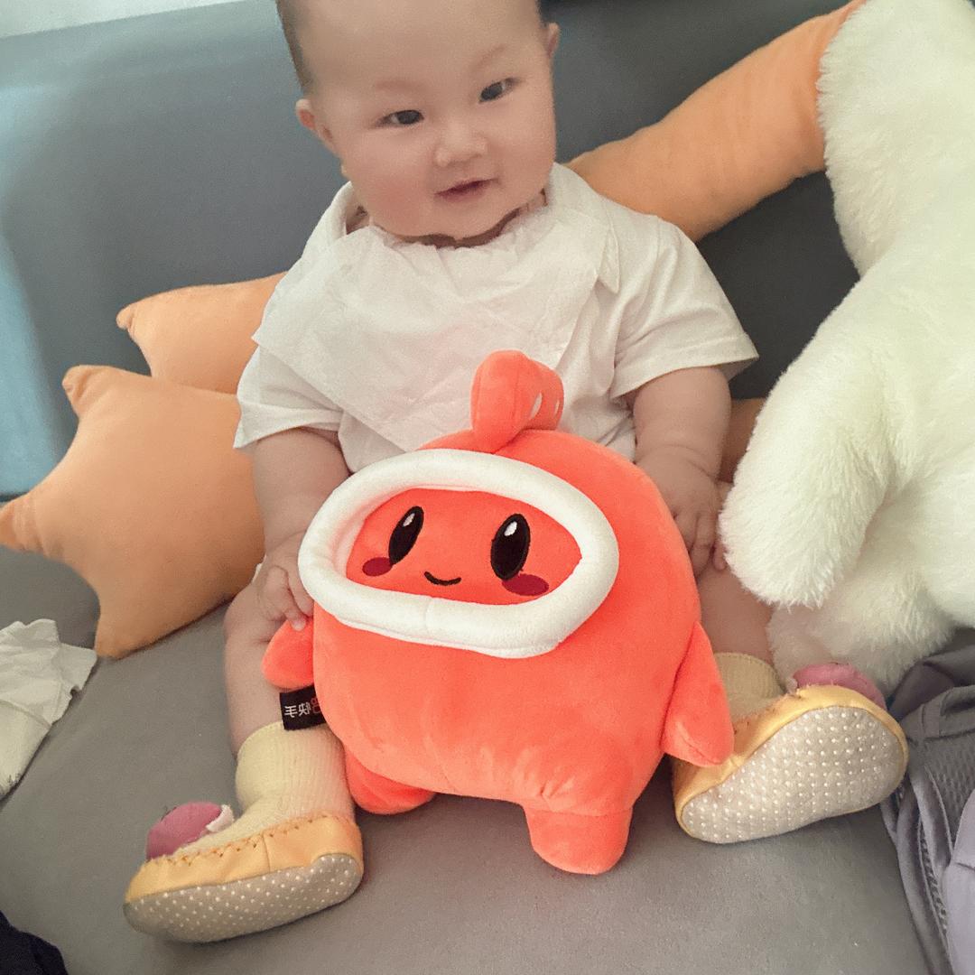小辰宝
