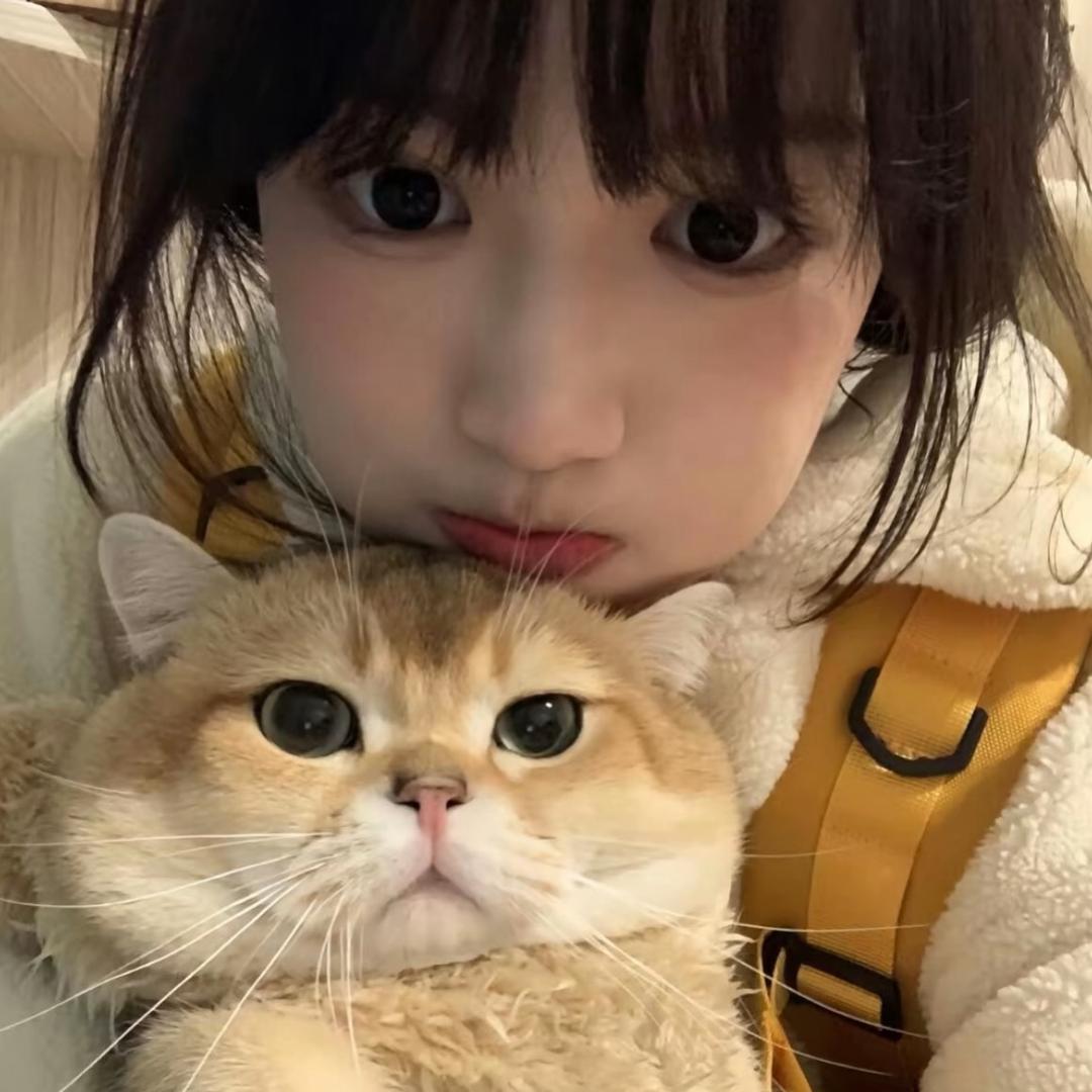 爱吃香菜