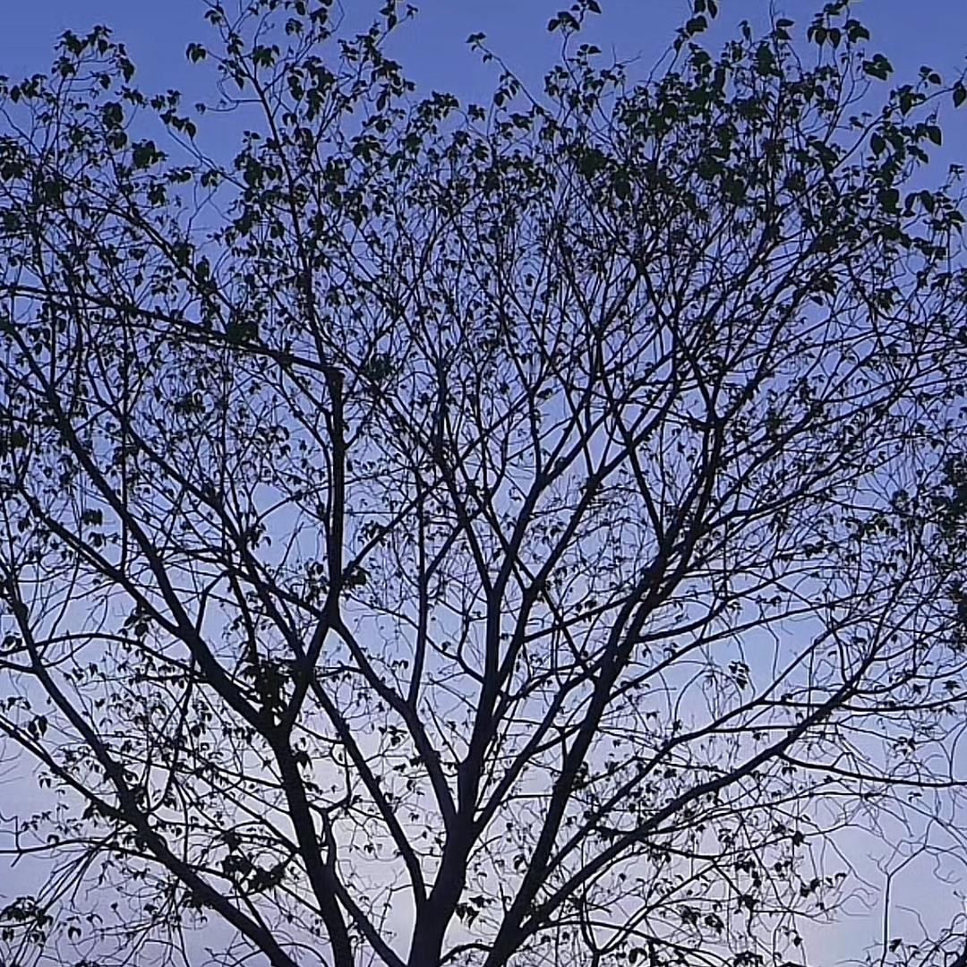 我怎么运气这么好