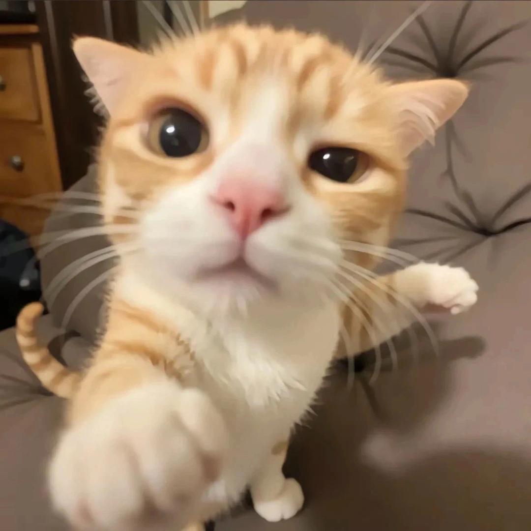 小昕正在直播中