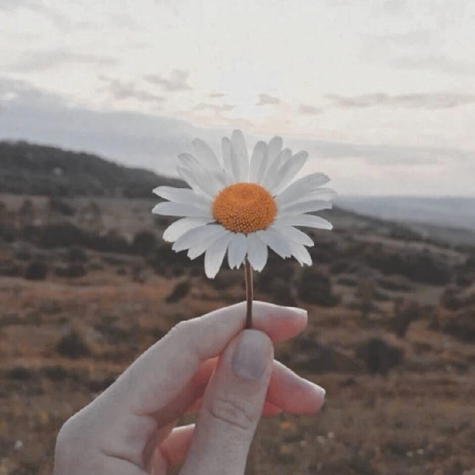 当时只道是寻常