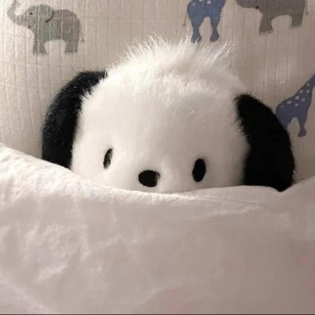 恰恰瓜子