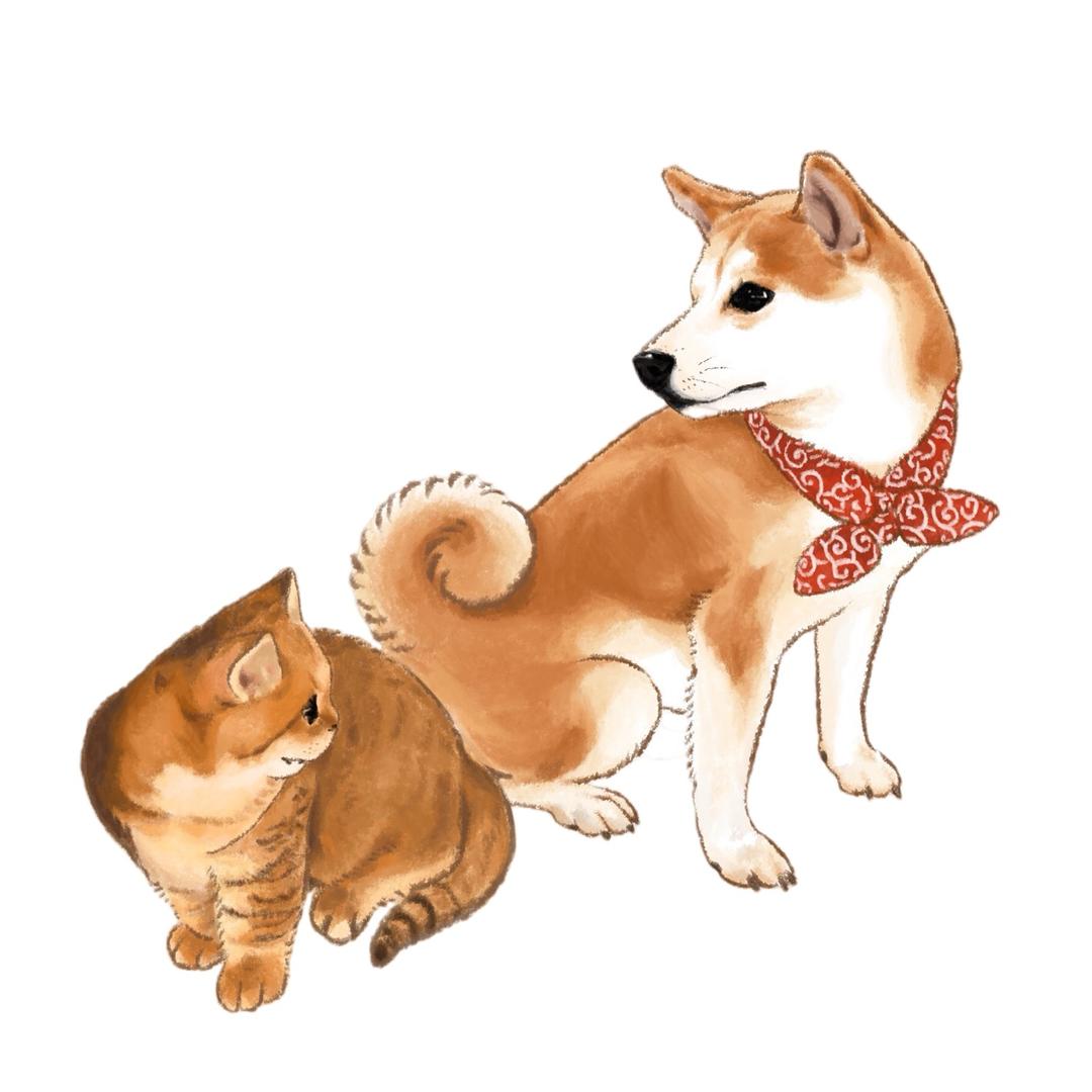 柴犬六六-懂玩帝