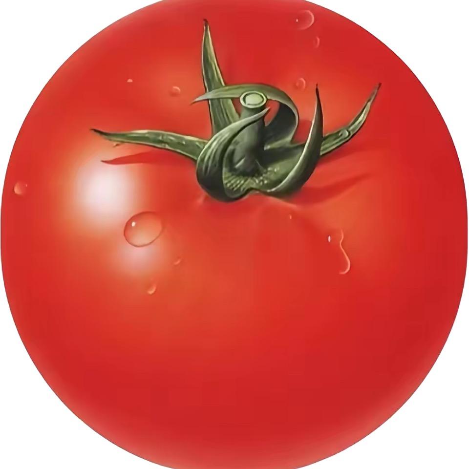 用户1997529（求推荐版）