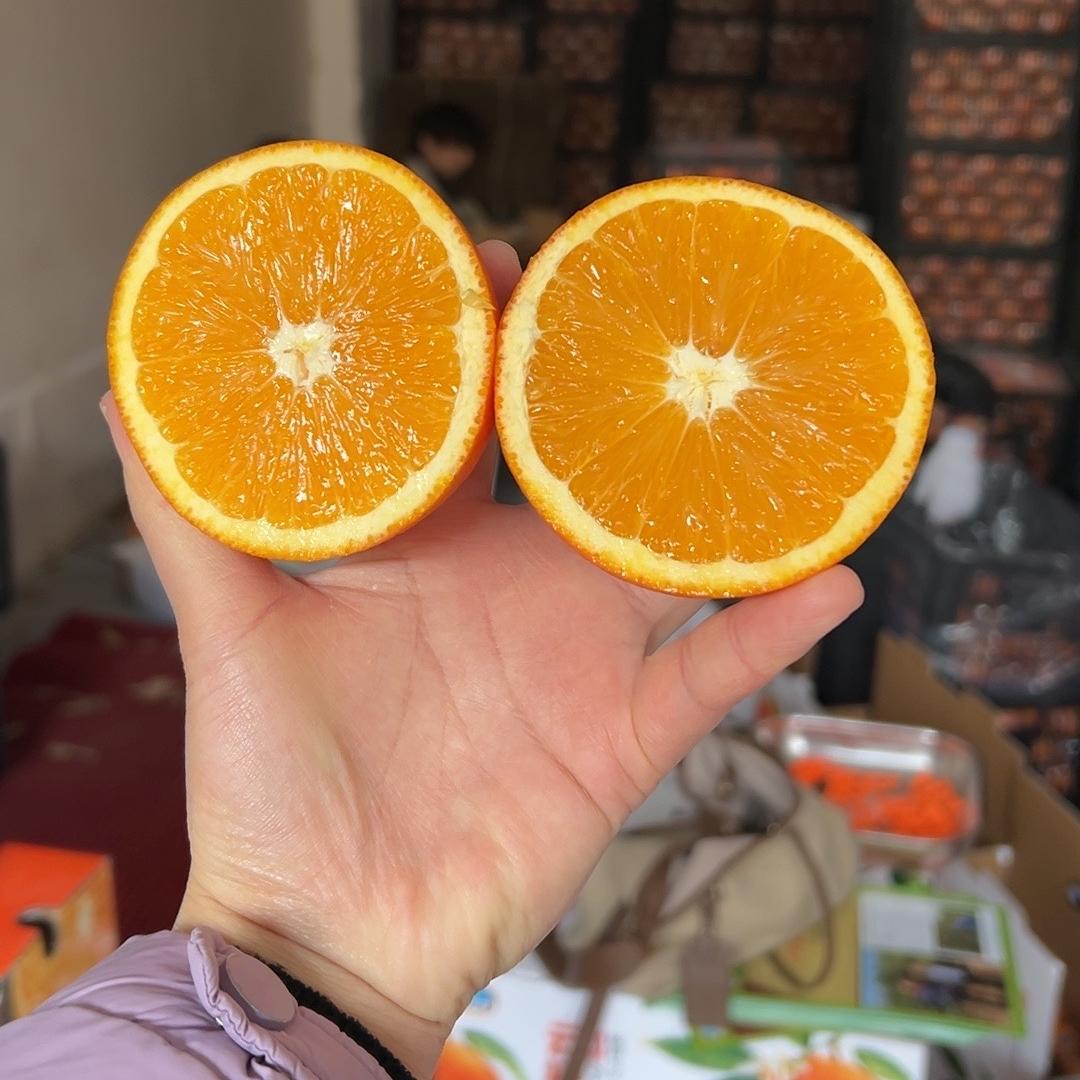 甄果乐