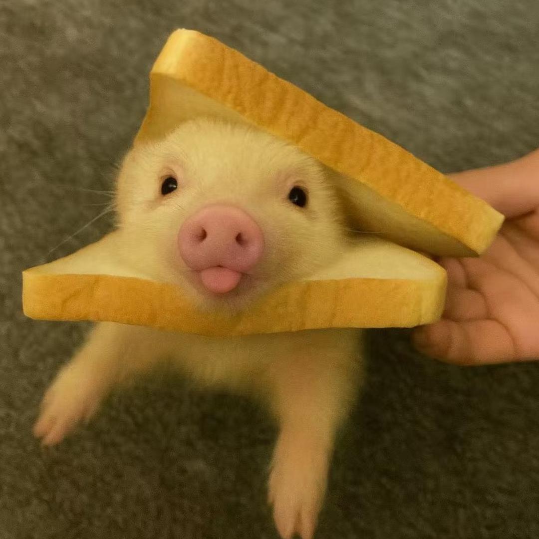 想你时你在天边