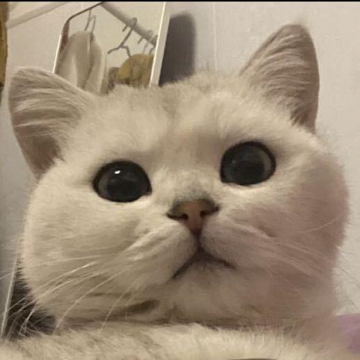 。。。。咪