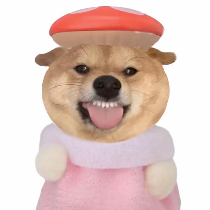 KK桑啊