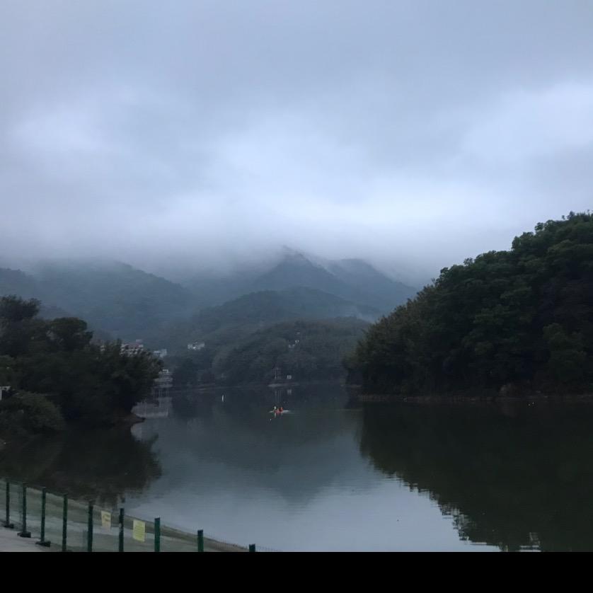 淡泊星辰的飞鸟
