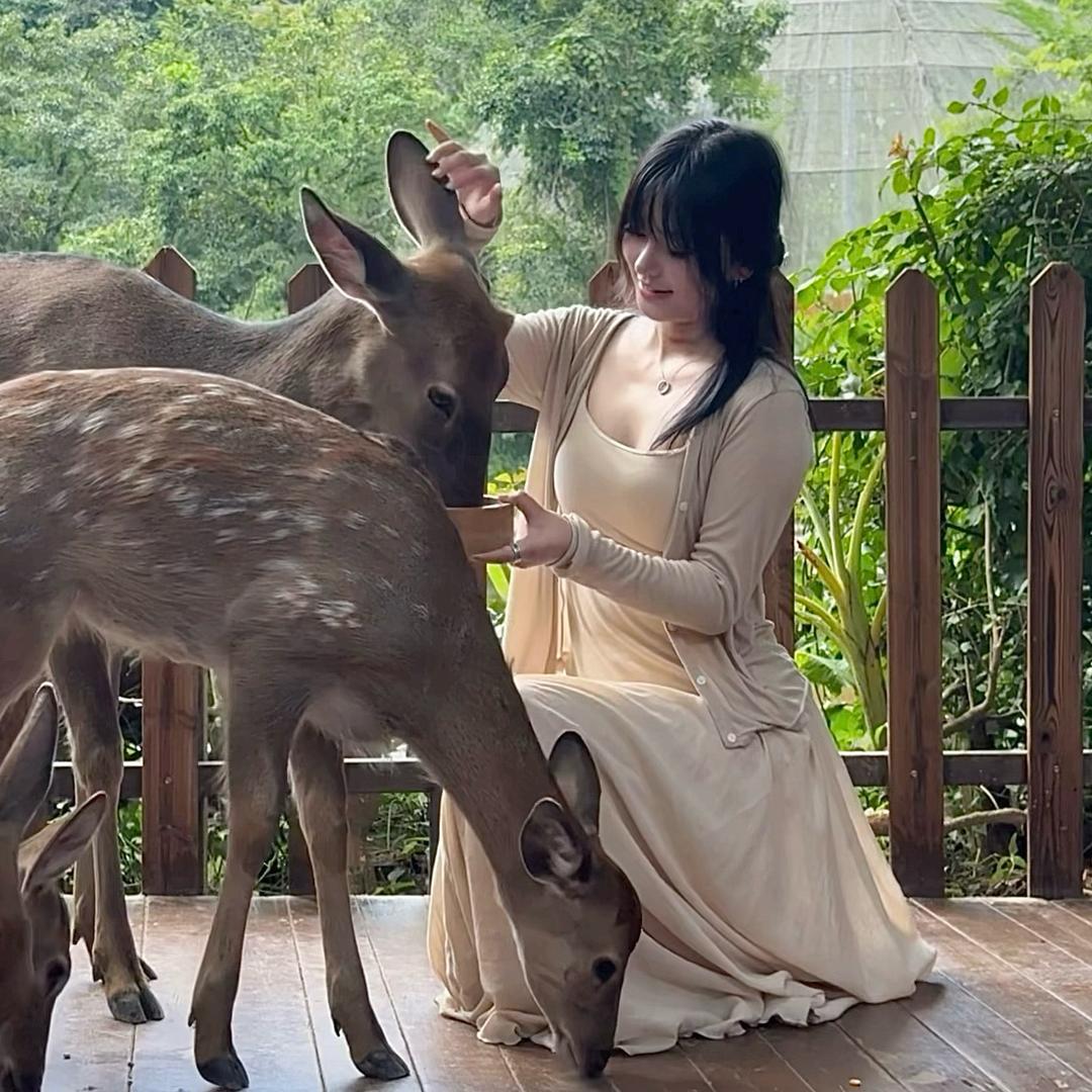 如梦🌟