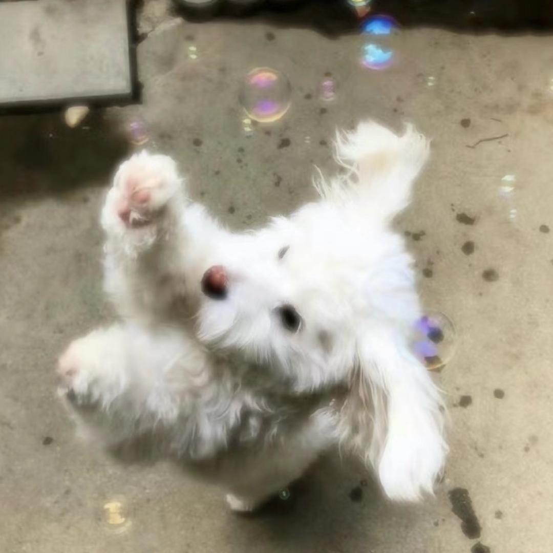 lllllllll