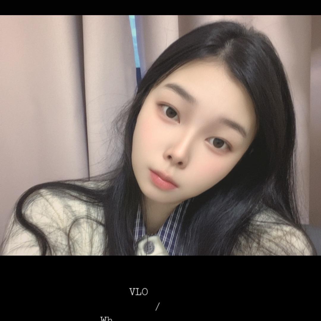 玫瑰不会再为我盛开