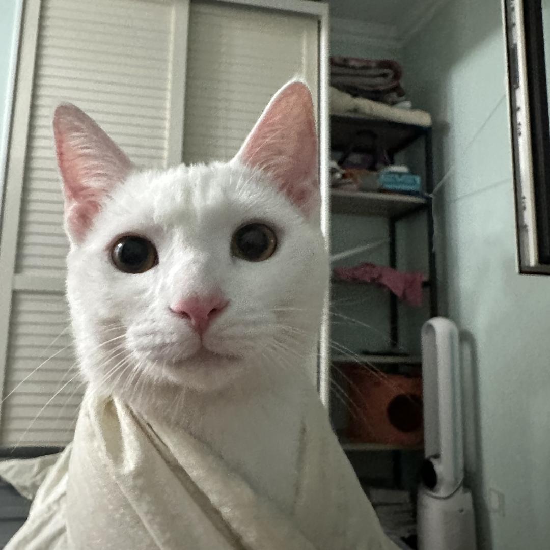 迟一