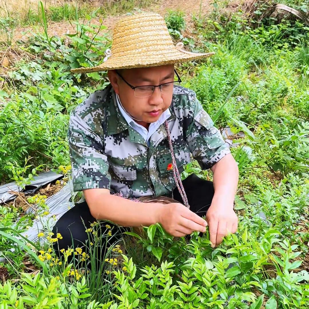 来凤藤茶村支书（尹书文）