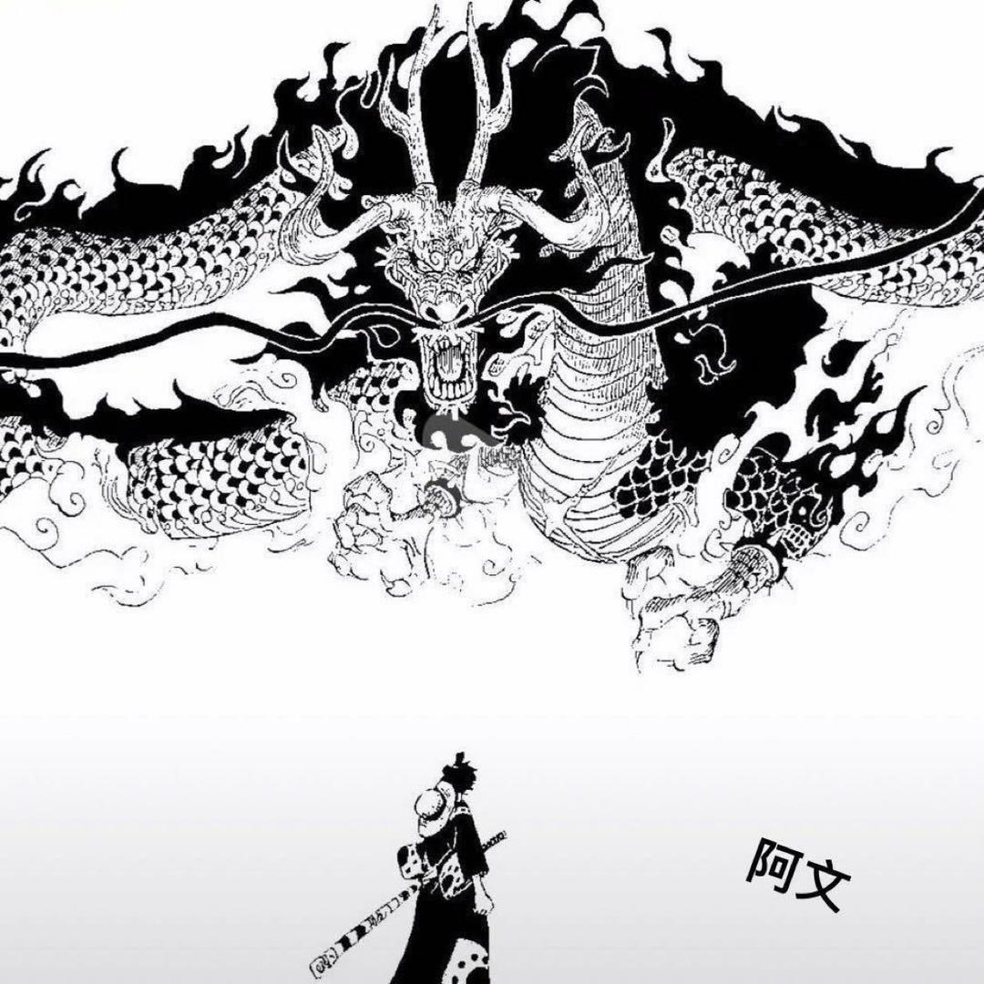 阿文-羊毛分享家🎓