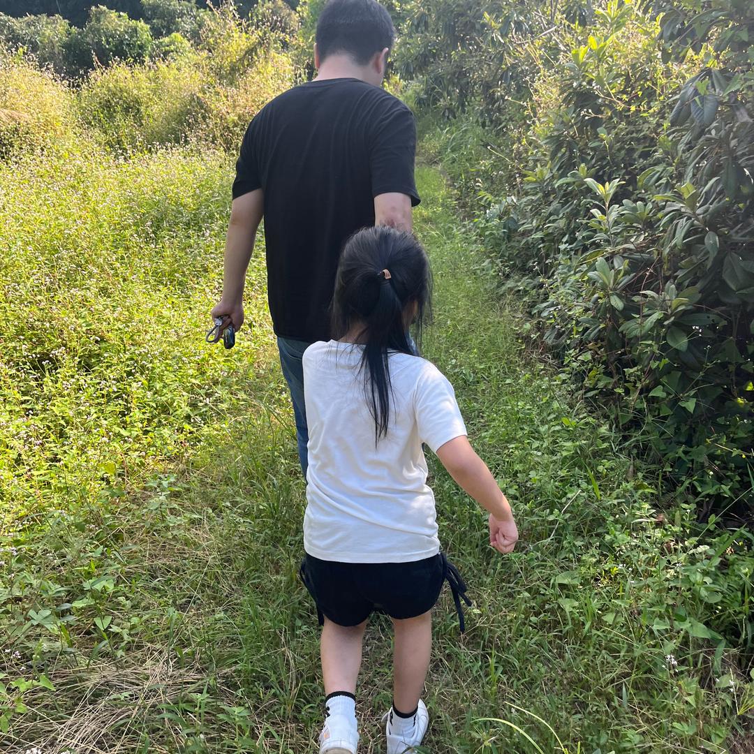 好运꧔ꦿ᭄加🈵