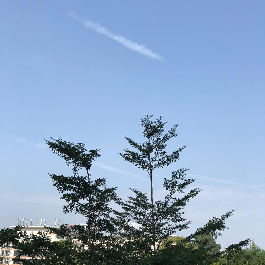 幽原飞马（跟陈俊杰握手过版）