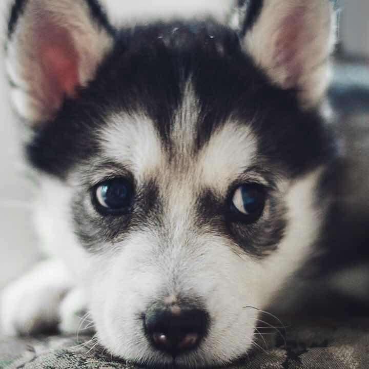 疆域禧福海县仓储店官方号