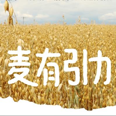 麦有引力燕麦脆