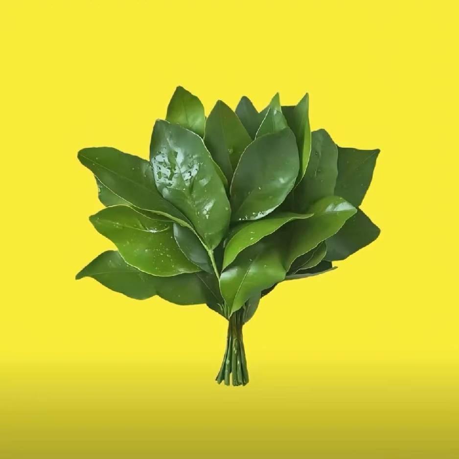 干掉那个坏蛋🦹‍♂️