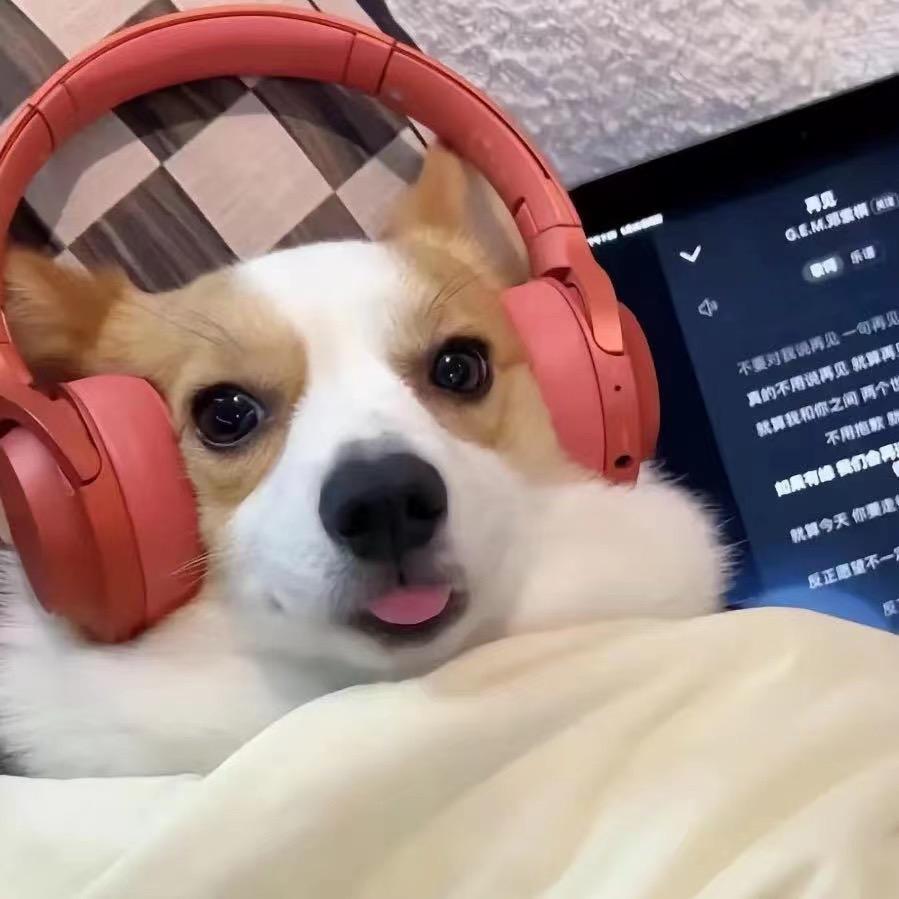 穿的有点小帅