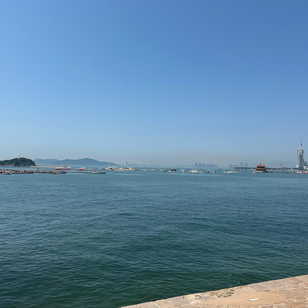 重生之小蔡卖风云