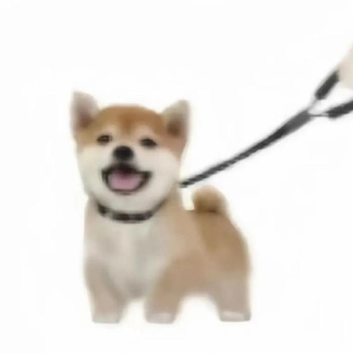 魔法披风¹⁵⁸⁸