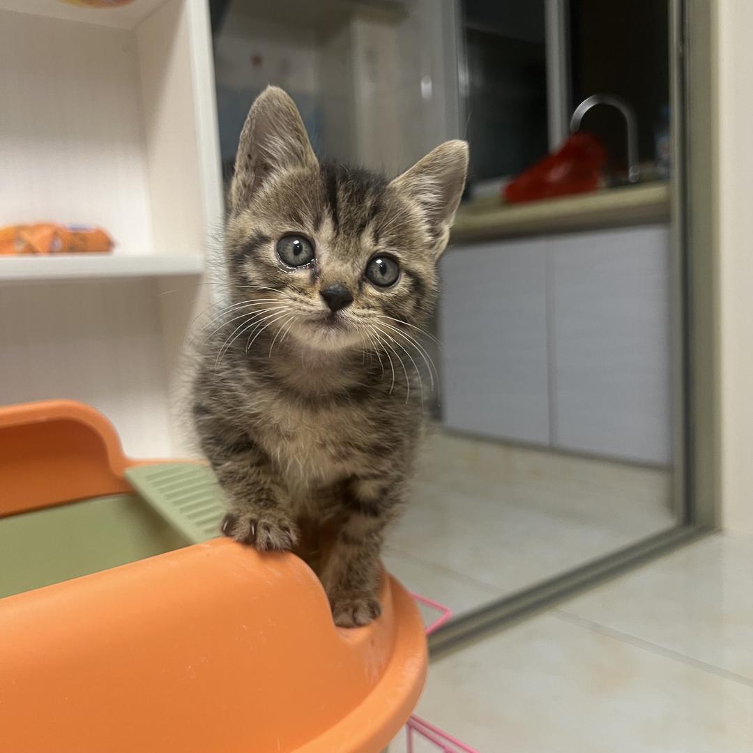 我大哥叫小想你敢动我吗