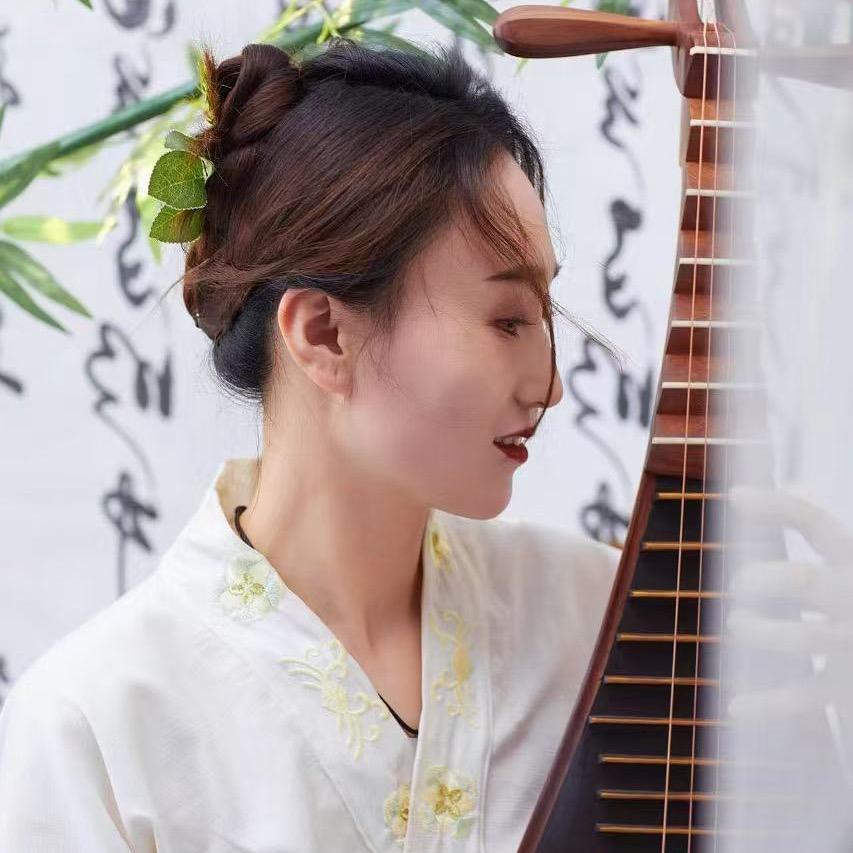 静弦琵琶🐉