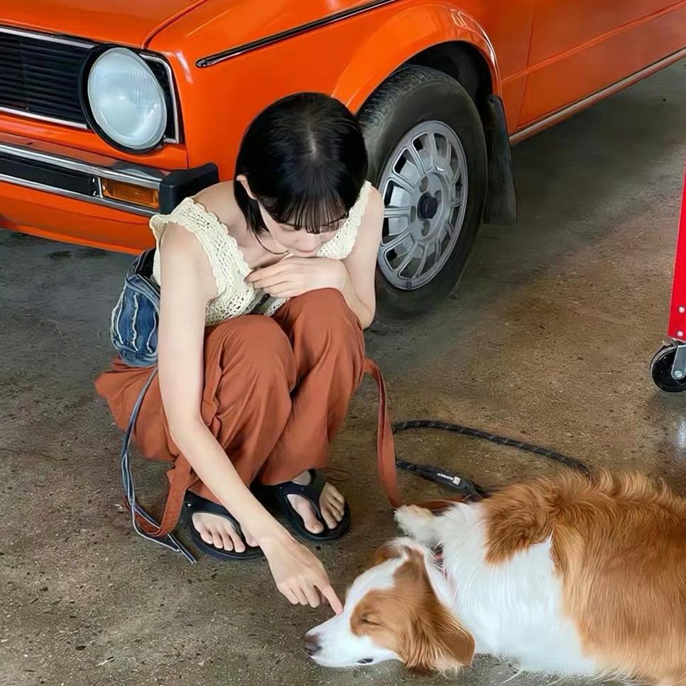 皮蛋solo周～