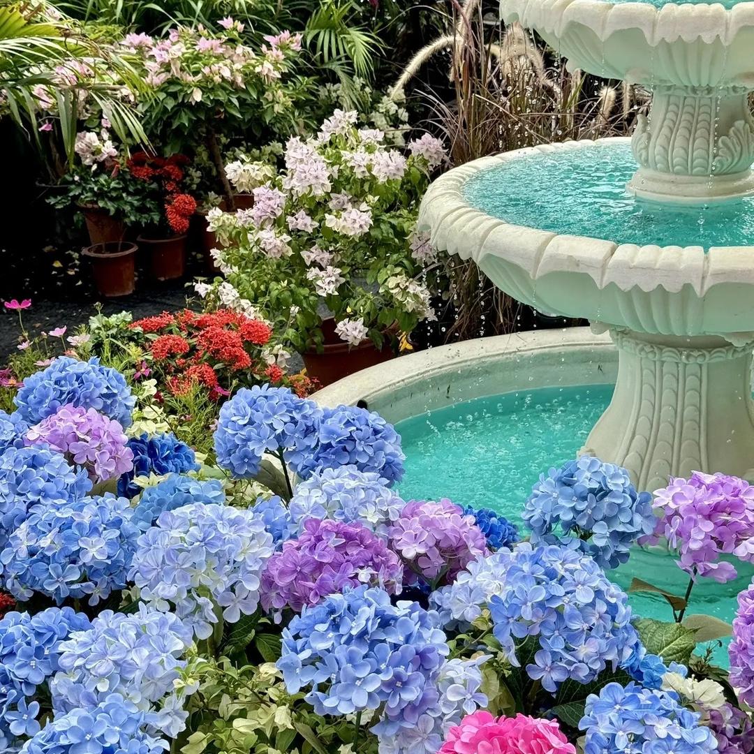 栀尚园艺中心花店