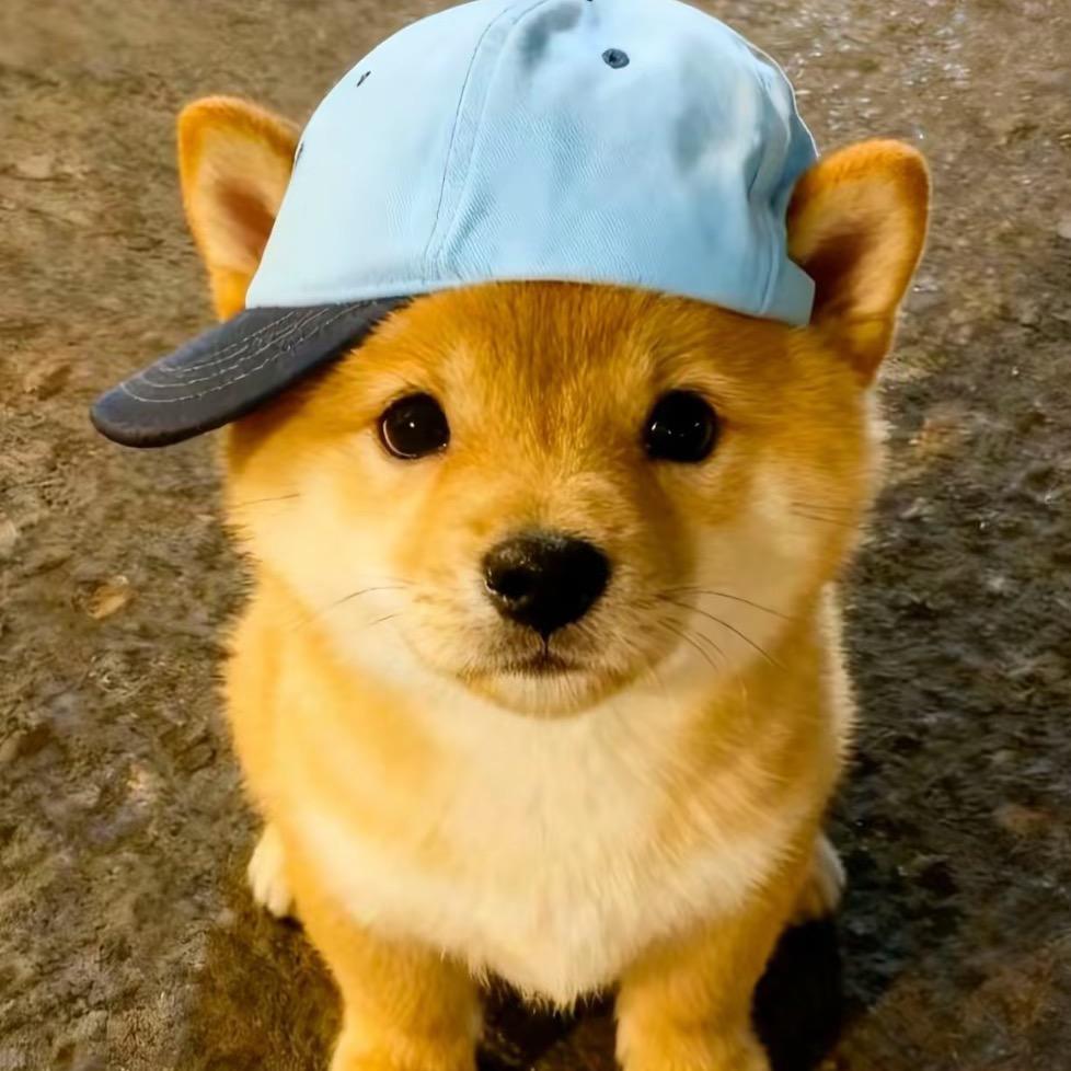 云朵面包