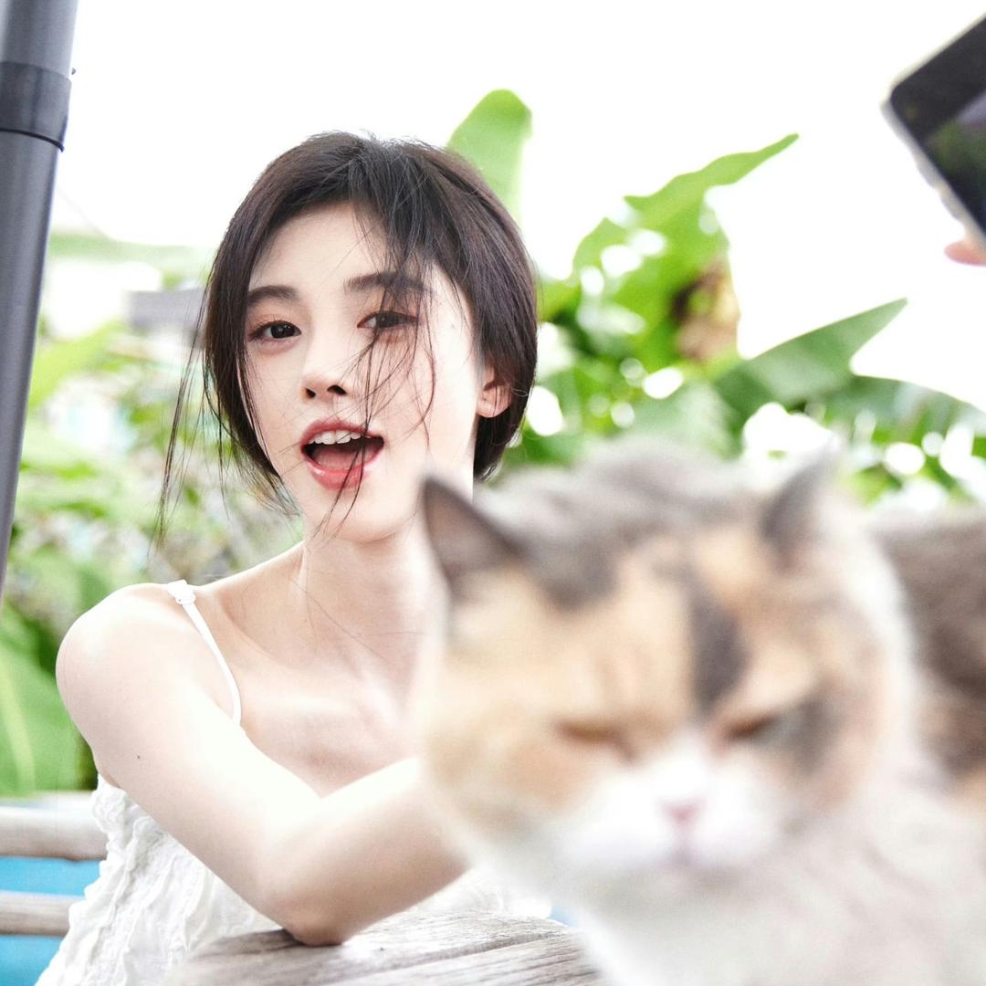 森活鱼块