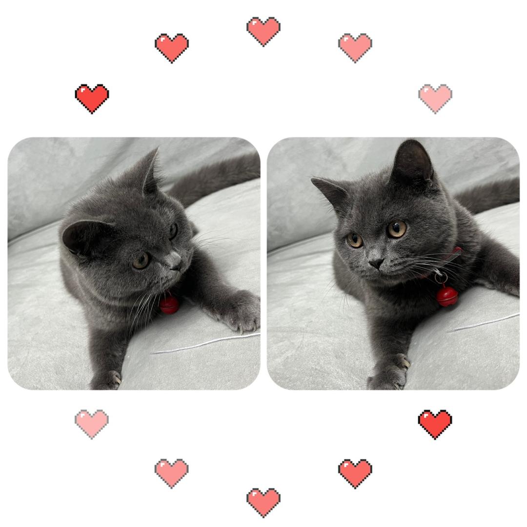 娜娜🙋‍♀️