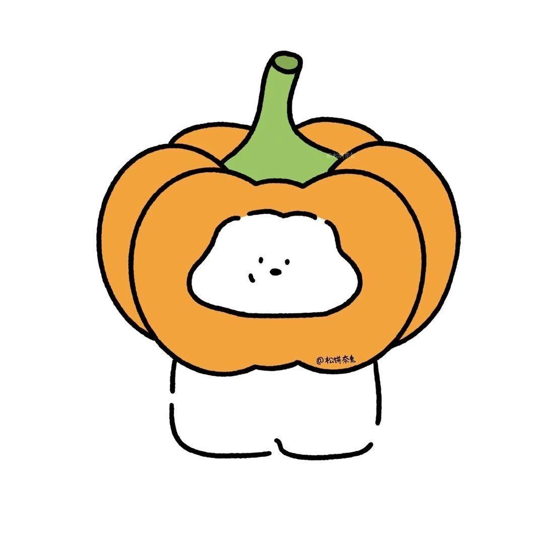 南瓜老师🎃