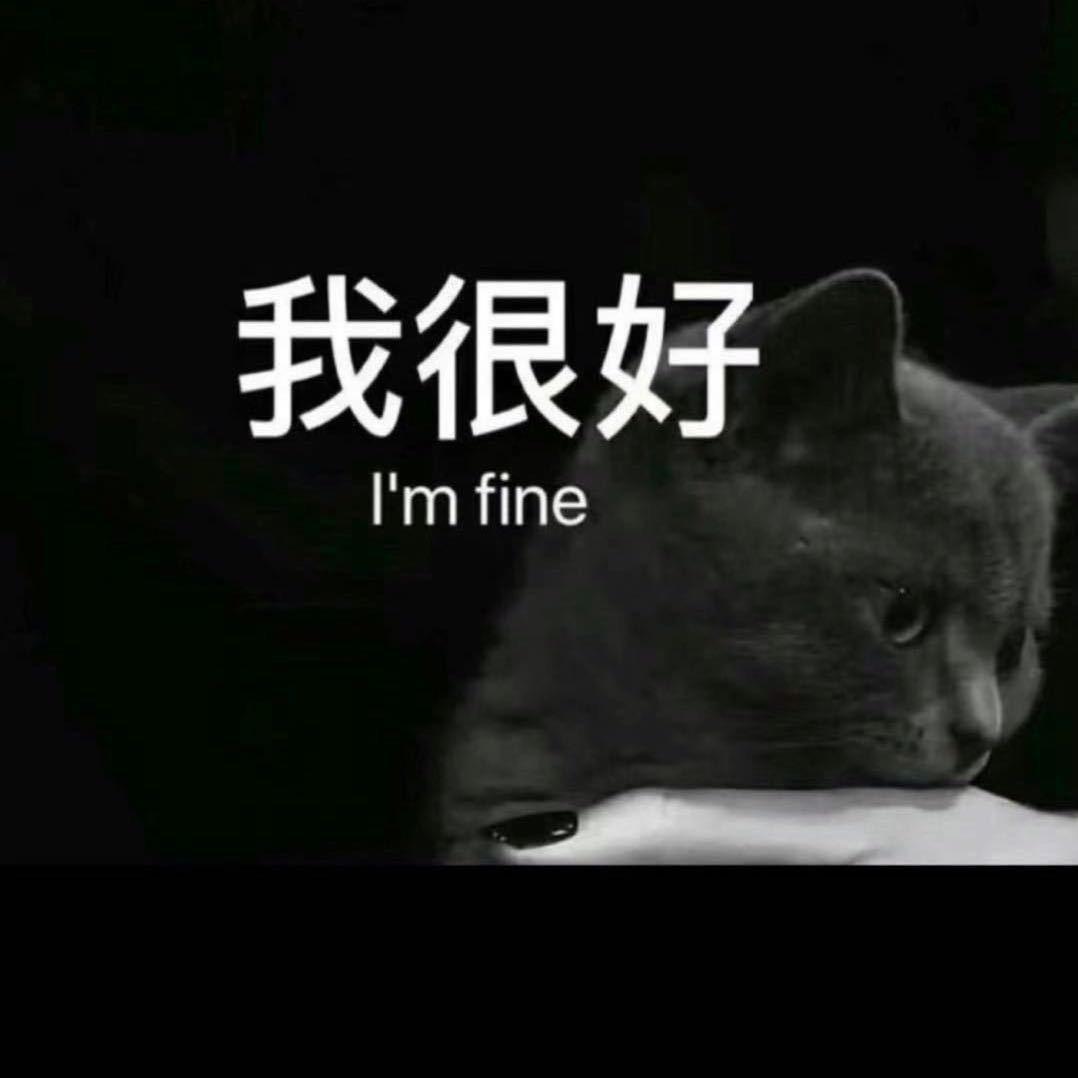 《别再犹豫》🙏🙏