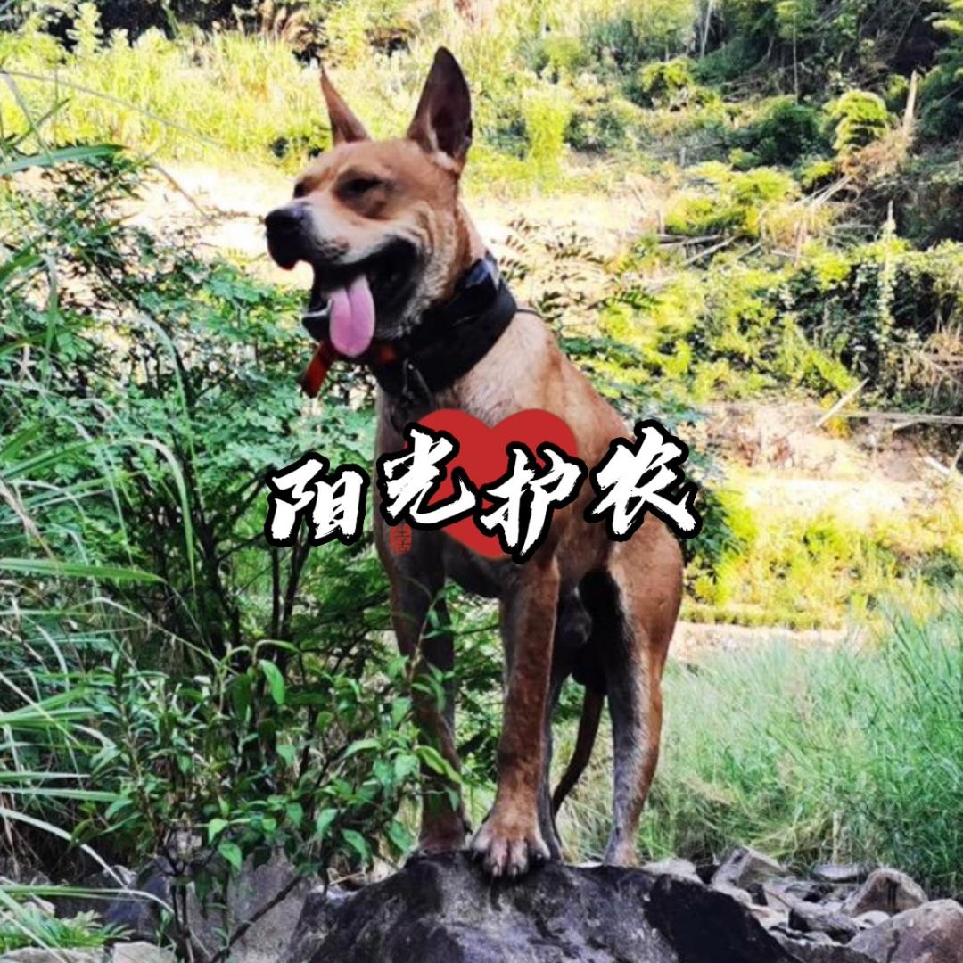 阳光护农助农（生活号）