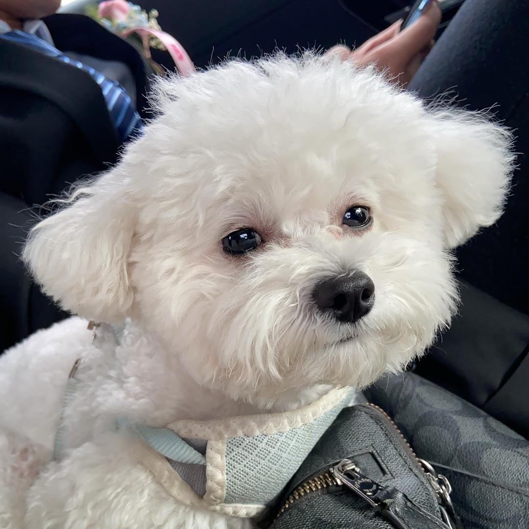 如果没有如果吗