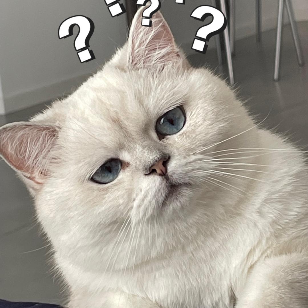 李大博