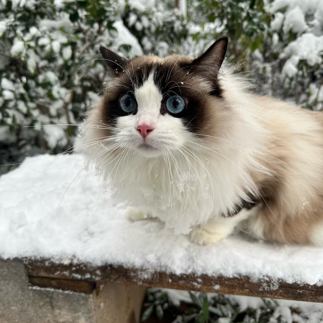 天海之蓝珠玉之宝