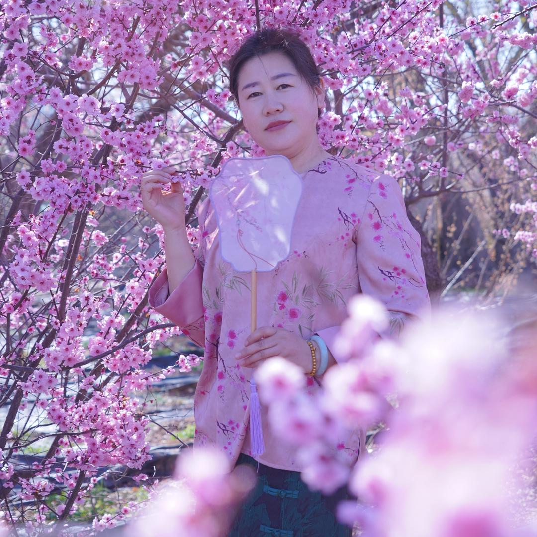 梅花飘香（莱州梅园）