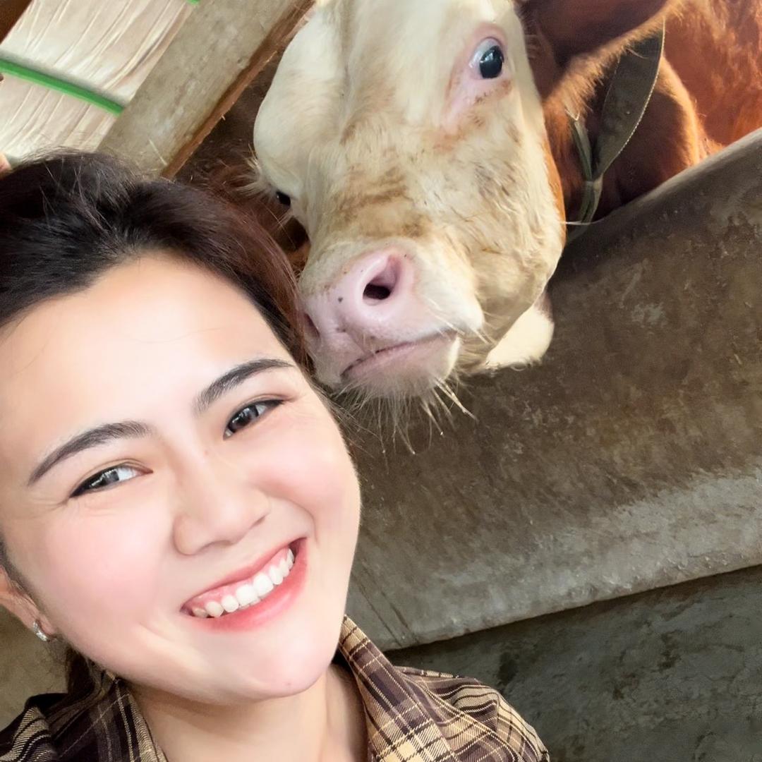 二龙杉杉牛羊肉