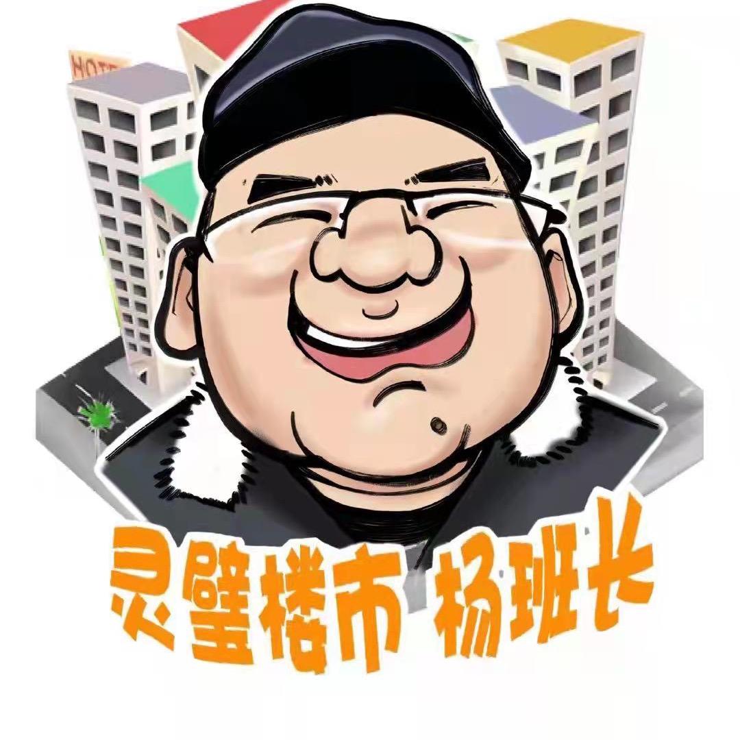 灵璧杨班长房产