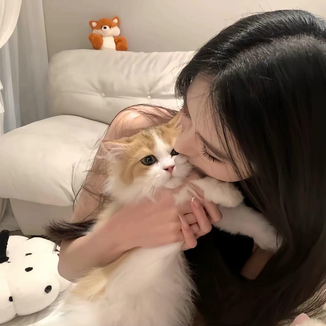 呆呆