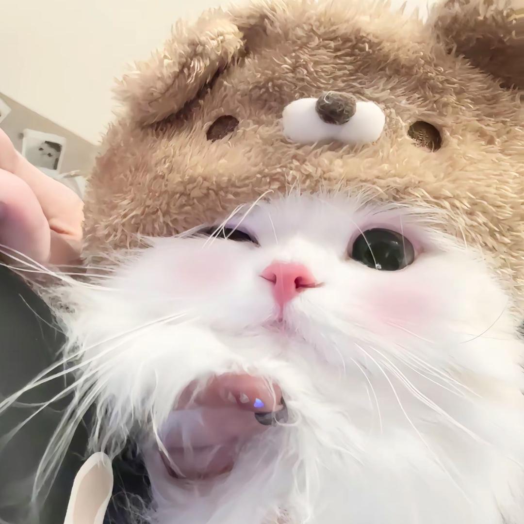 许愿^
