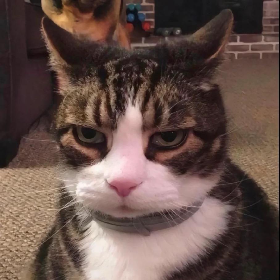 扶老奶奶过绊线