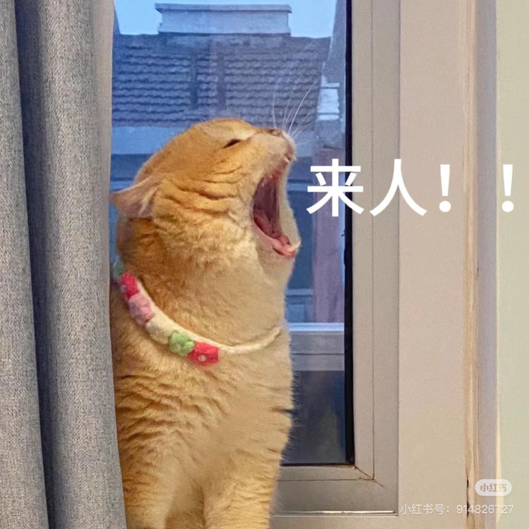 普坝霸王🐭（三角洲行动）