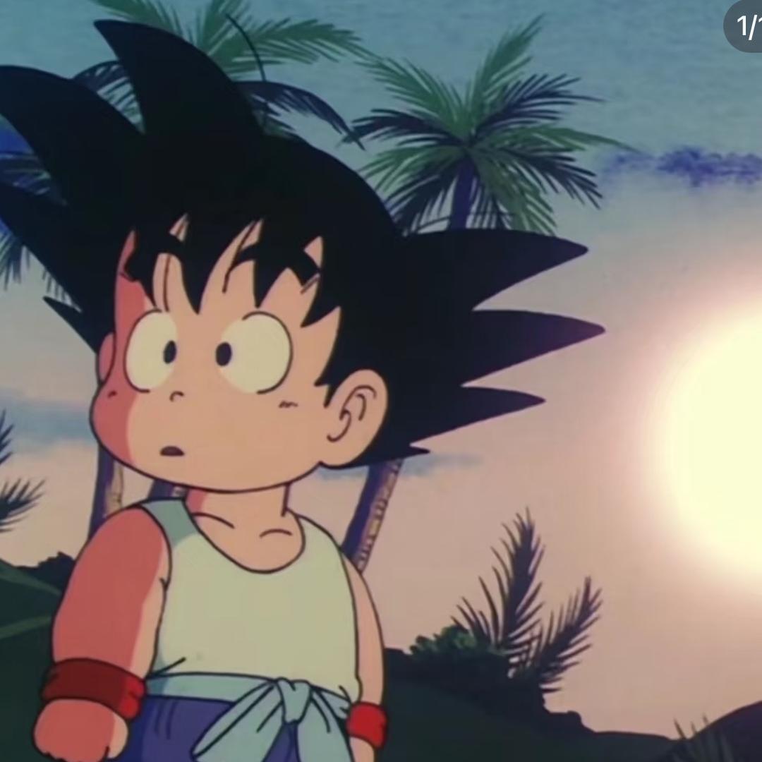 我在海边捡贝壳