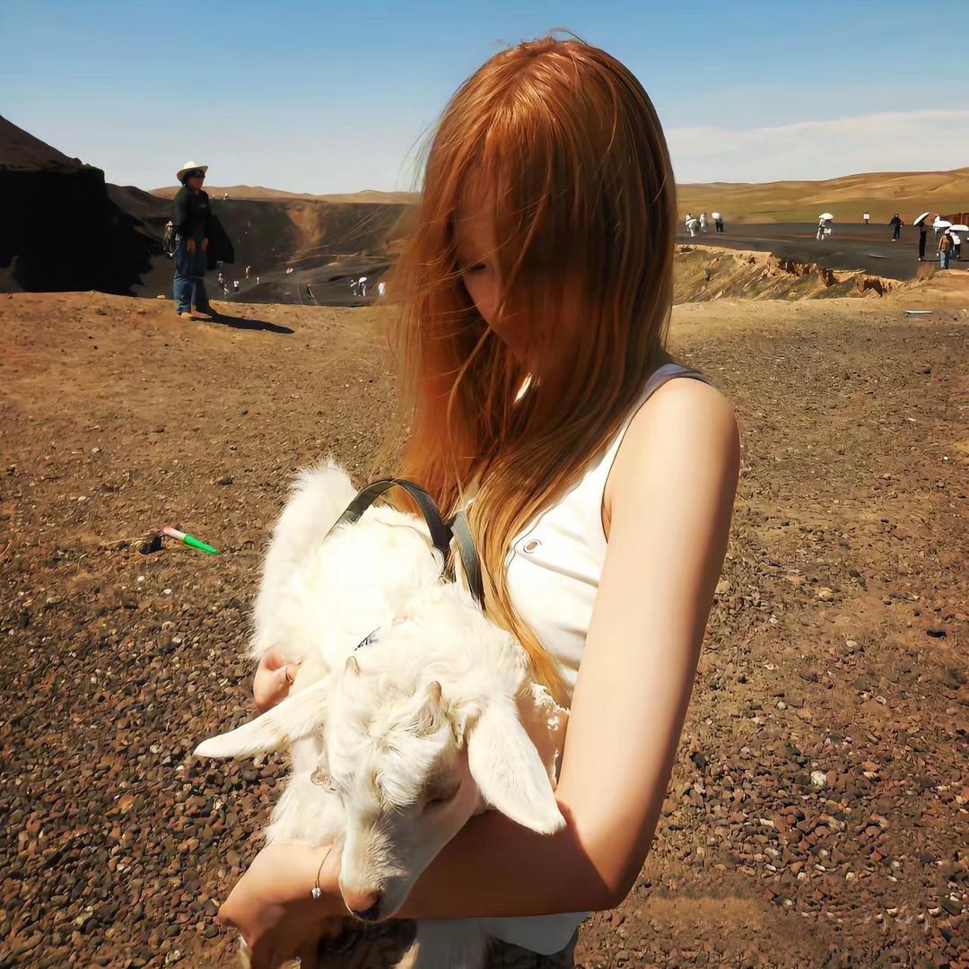 哔哩哔哩吧啦吧啦公主