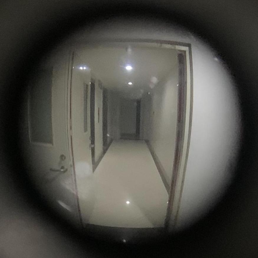 特伊安